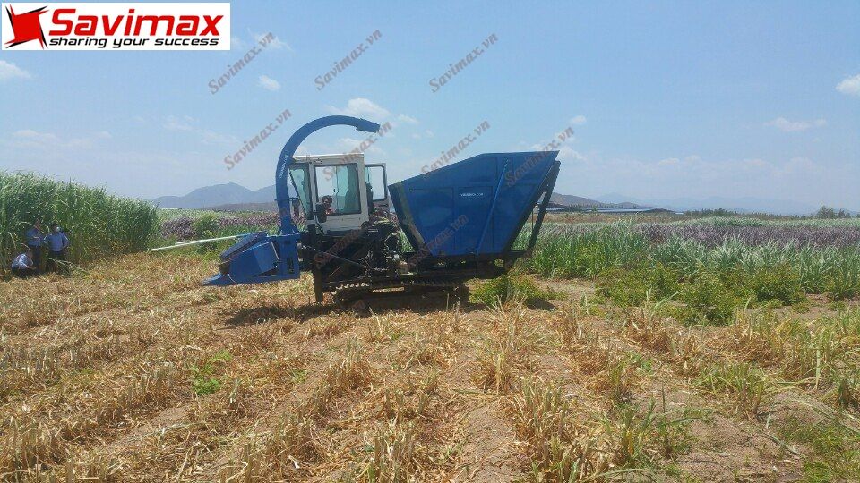 Máy cắt cỏ voi liên hoàn thế hệ mới SV2019