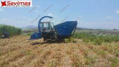 Máy cắt cỏ voi liên hoàn thế hệ mới SV2019