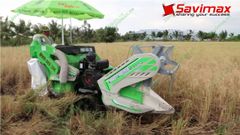Máy gặt lúa liên hoàn Mini Shineray 4LZ-0.9