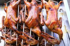 Máy quay nướng vịt 2 tầng inox