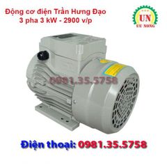 Động cơ điện 3 pha 3 kW tốc nhanh 2900 vòng/phút