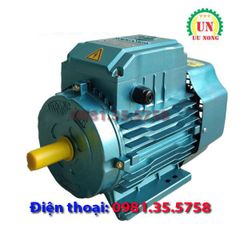Động cơ điện 1 pha 3.5 kW tốc nhanh 2900 vòng/phút
