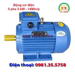 Động cơ điện 3 pha 3 kW tốc chậm 1490 vòng/phút