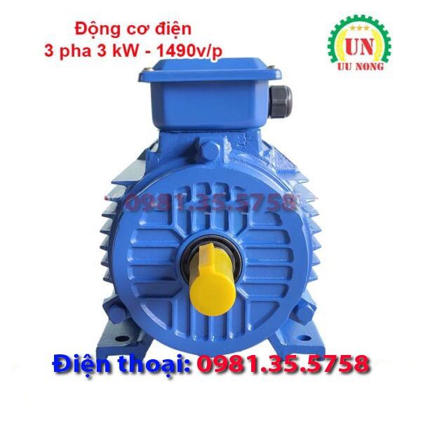 Động cơ điện 3 pha 3 kW tốc chậm 1490 vòng/phút
