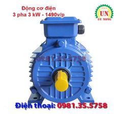 Động cơ điện 3 pha 3 kW tốc chậm 1490 vòng/phút