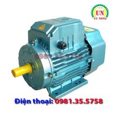 Động cơ điện 1 pha 2.2 kW tốc nhanh 2900 vòng/phút