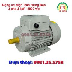Động cơ điện 3 pha 3 kW tốc nhanh 2900 vòng/phút