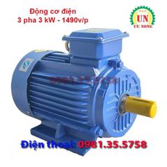 Động cơ điện 3 pha 3 kW tốc chậm 1490 vòng/phút