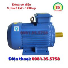 Động cơ điện 3 pha 3 kW tốc chậm 1490 vòng/phút