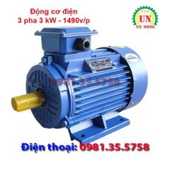 Động cơ điện 3 pha 3 kW tốc chậm 1490 vòng/phút