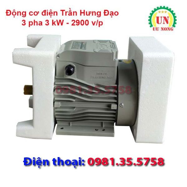 Động cơ điện 3 pha 3 kW tốc nhanh 2900 vòng/phút