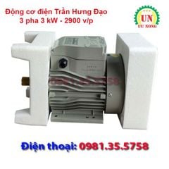 Động cơ điện 3 pha 3 kW tốc nhanh 2900 vòng/phút