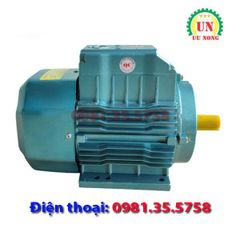 Động cơ điện 1 pha 3.5 kW tốc nhanh 2900 vòng/phút