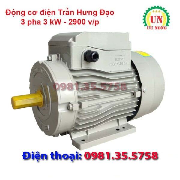 Động cơ điện 3 pha 3 kW tốc nhanh 2900 vòng/phút