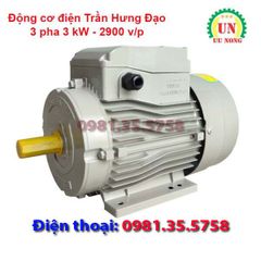 Động cơ điện 3 pha 3 kW tốc nhanh 2900 vòng/phút