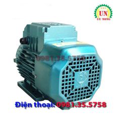 Động cơ điện 1 pha 2.2 kW tốc nhanh 2900 vòng/phút