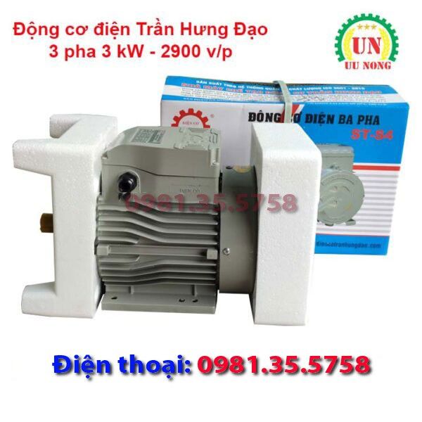 Động cơ điện 3 pha 3 kW tốc nhanh 2900 vòng/phút