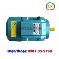 Động cơ điện 1 pha 1.5 kW tốc nhanh 2900 vòng/phút