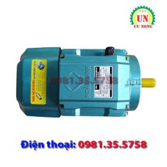 Động cơ điện 1 pha 3.5 kW tốc nhanh 2900 vòng/phút