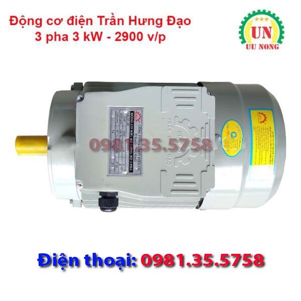 Động cơ điện 3 pha 3 kW tốc nhanh 2900 vòng/phút