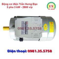 Động cơ điện 3 pha 3 kW tốc nhanh 2900 vòng/phút