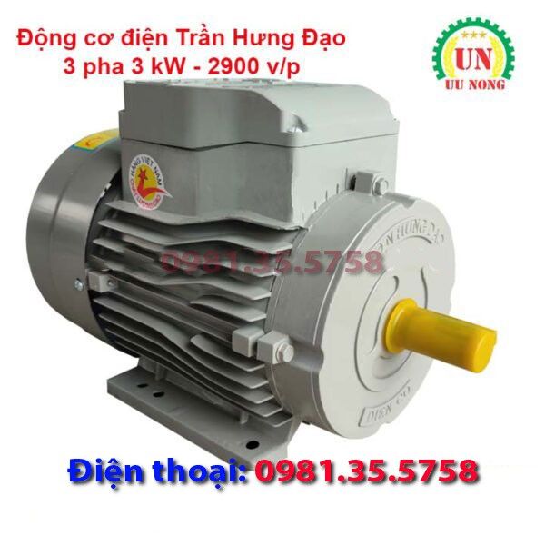 Động cơ điện 3 pha 3 kW tốc nhanh 2900 vòng/phút