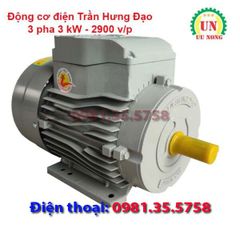Động cơ điện 3 pha 3 kW tốc nhanh 2900 vòng/phút