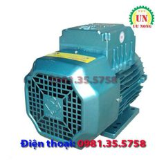 Động cơ điện 1 pha 3.5 kW tốc chậm 1490 vòng/phút