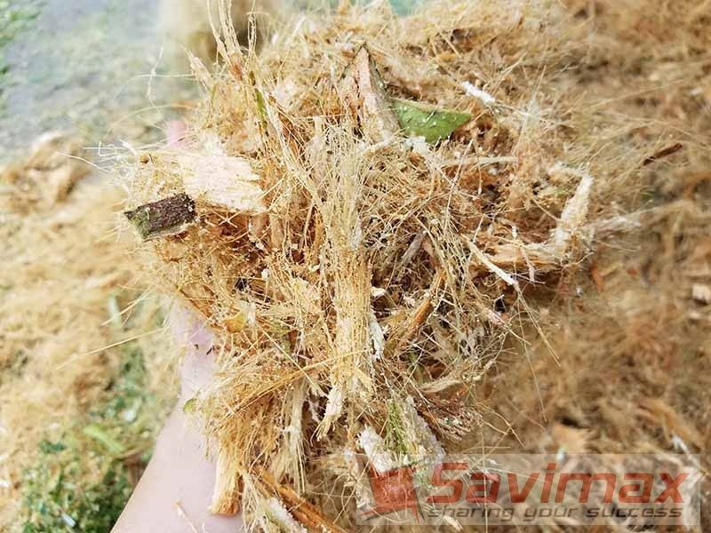 Máy băm nghiền đa năng cổ cao BNSV02