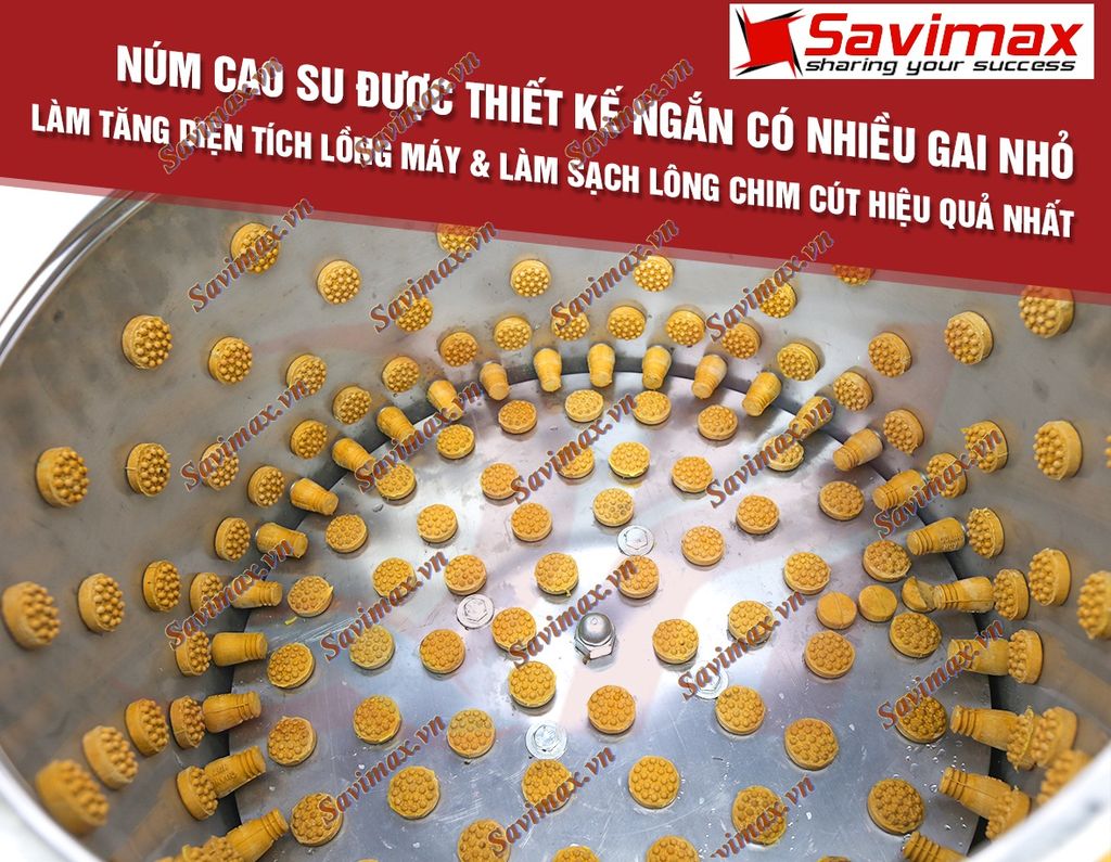 Máy vặt lông chim cút, gà ác, bồ câu sạch 99%