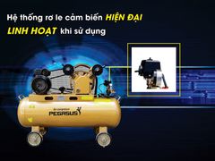 Máy nén khí dây đai PEGASUS TM-V-0.12/8-70L