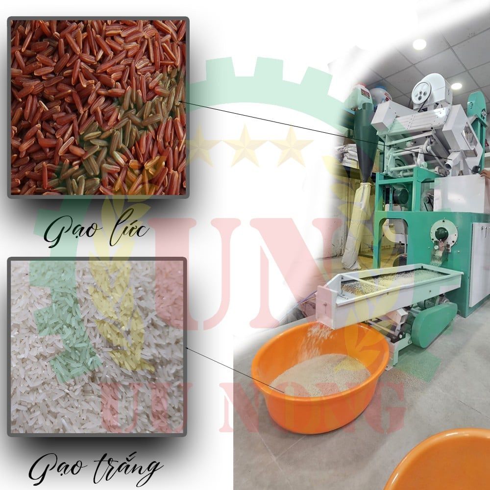 MÁY XAY XÁT GẠO LIÊN HOÀN 6LN-15 / 15SF