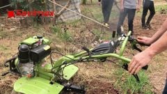 Máy xới đất Trâu Vàng 173 chạy dầu có chuyển hướng