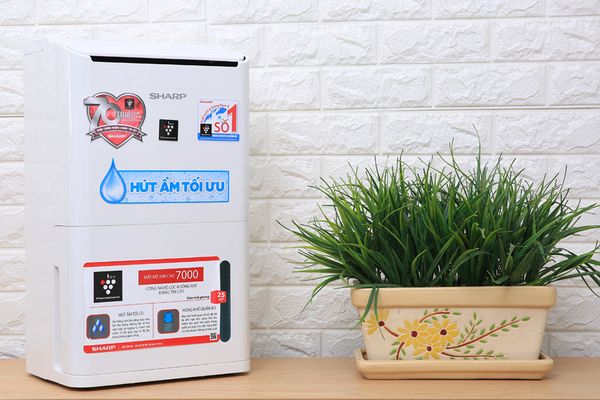Máy lọc không khí và hút ẩm, tạo i-on Sharp DW-D12A-W