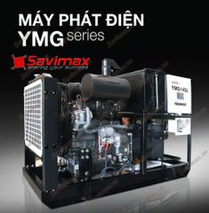 Máy phát điện Yanmar YMG14SL công suất 10.2kva Nhật Bản