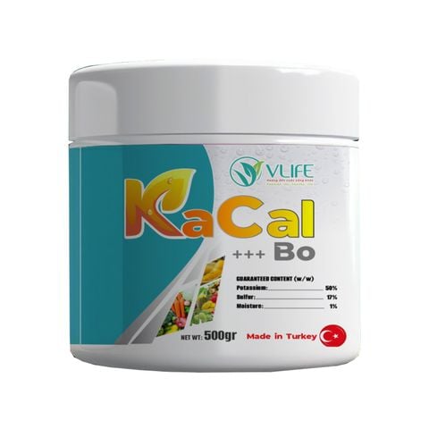 KaCal - CSV - KALI HỮU HIỆU TAN 100%