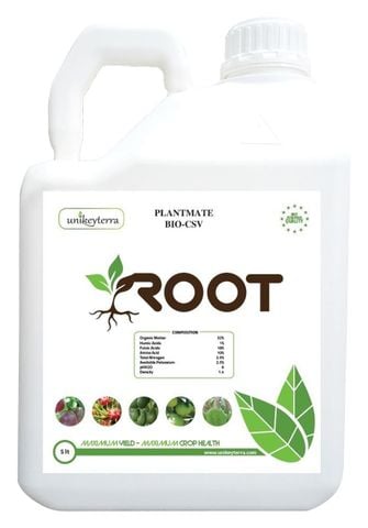 ROOT - BUNG RỄ CỰC MẠNH