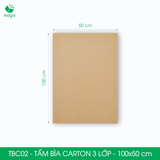  TBC02 - Tấm Bìa Carton - 100x50 cm 