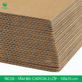  TBC03 - Tấm Bìa Carton - 100x75 cm 