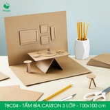  TBC04 - Tấm Bìa Carton - 100x100 cm 