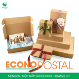  MENG05 - Hộp nắp gài hông ECONO - 30x20x5 cm 