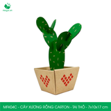  MFK04C - Cây xương rồng carton - Tai thỏ - 7x10x17 cm 