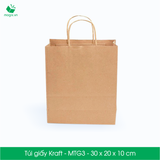  MTG3 - 30x20x10 cm -  Túi giấy Kraft 