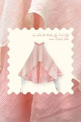 Áo yếm tơ Nước ép trái cây - Thạch dâu