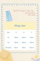 Quần tơ Thạch thủy tinh - Thạch trà