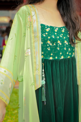 Đầm Phú Xuân - Xanh thông