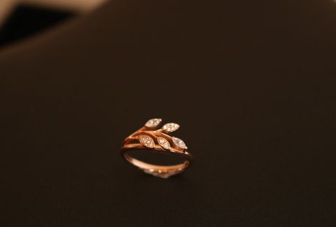 Trang sức N.K14.RG lá đá CZ 14R00CZ13N50410