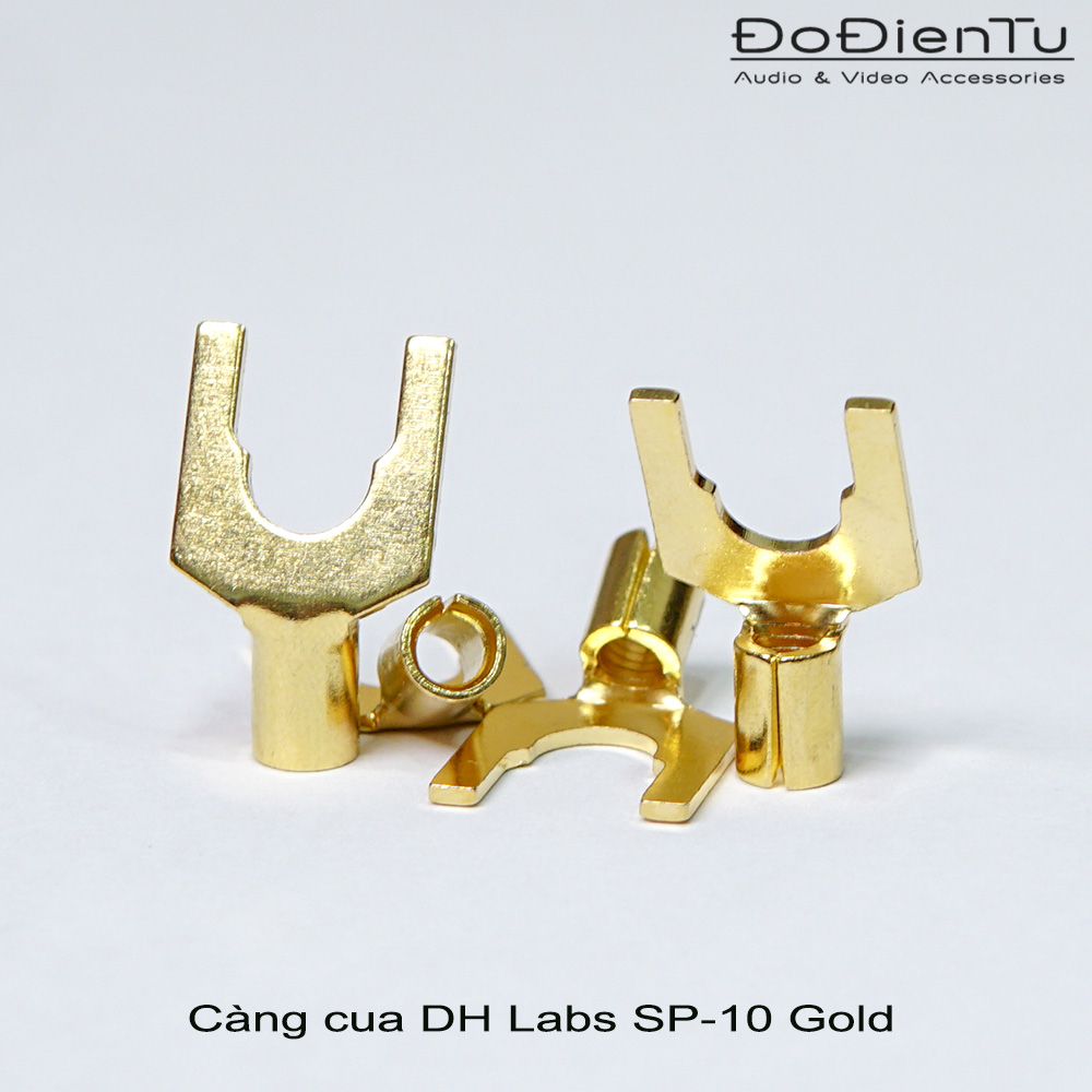 nhan-ban-cua-cang-cua-dh-labs-sp-10-3