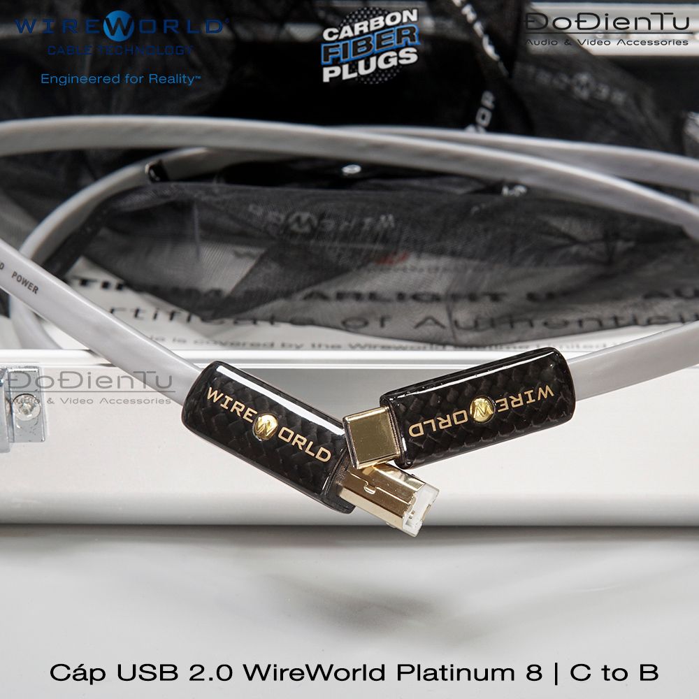 Wireworld Platinum 8 USB C to B