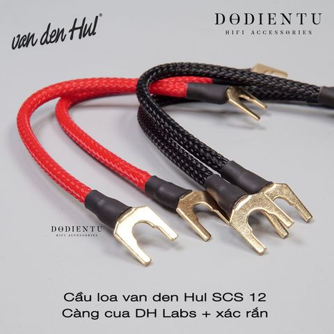 cau-loa-van-den-hul-scs-12